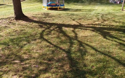 Photo of James M.'s yard after getting landscaping in Comstock Park, MI