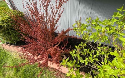 Photo of John A.'s yard after getting landscaping in Brownsville, OH