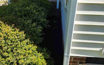 Photo of Jeff D.'s yard after getting landscaping in Cary, NC