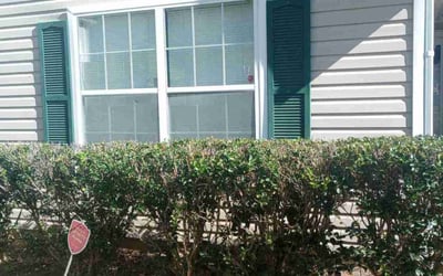 Photo of Ishy M.'s yard after getting tree care in Alpharetta, GA