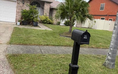 Photo of Ryan F.'s yard after getting tree care in Stuart, FL