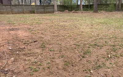 Photo of Ryan T.'s yard after getting landscaping in Waco, GA