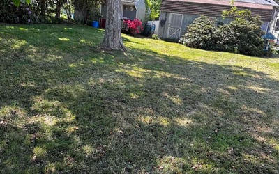 Photo of Michael S.'s yard after getting landscaping in Suffield, CT
