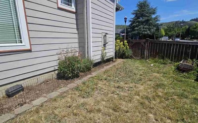Photo of Margaret I.'s yard after getting tree care in Tacoma, WA