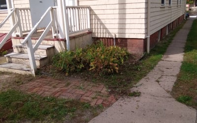 Photo of Paul L.'s yard after getting landscaping in Madison, CT