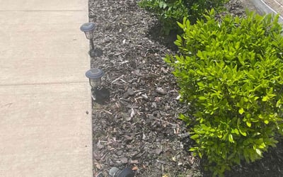 Photo of Marcy M.'s yard after getting landscaping in Little Elm, TX
