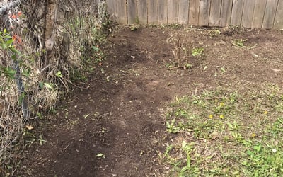 Photo of Deborah W.'s yard after getting landscaping in Fort Leavenworth, KS