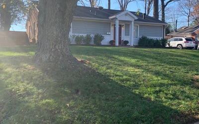 Photo of William M.'s yard after getting landscaping in Bryantown, MD