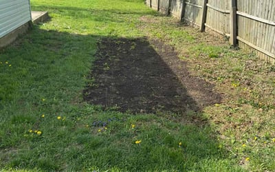 Photo of Dan P.'s yard after getting landscaping in Middletown, OH
