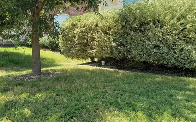Photo of Adam L.'s yard after getting landscaping in Poteet, TX