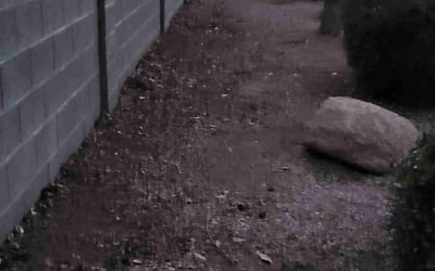 Photo of Mike M.'s yard after getting landscaping in Sacaton, AZ