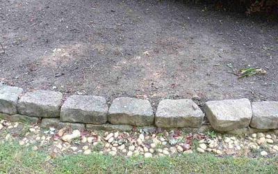 Photo of Demeka G.'s yard after getting tree care in Harrisburg, NC