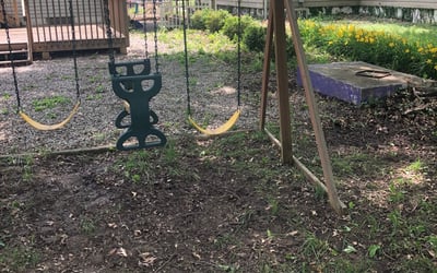 Photo of Jim C.'s yard after getting landscaping in Kings Mills, OH