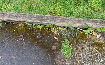 Photo of Amy M.'s yard after getting landscaping in Battle Ground, WA