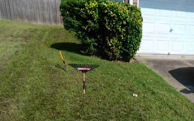 Photo of Nicole L.'s yard after getting landscaping in Moon, VA