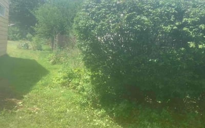 Photo of Javaris O.'s yard after getting tree care in Zion, IL