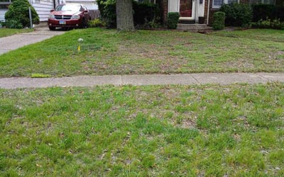 Photo of Dan R.'s yard after getting landscaping in Toledo, OH