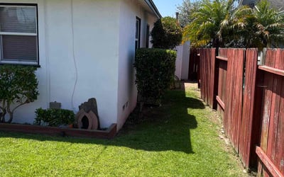 Photo of Monique A.'s yard after getting tree care in Palo Alto, CA