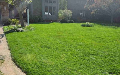 Photo of Rebecca J.'s yard after getting landscaping in Kalkaska, MI