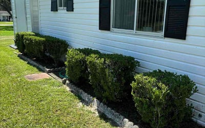 Photo of Naomi H.'s yard after getting tree care in Cape Coral, FL