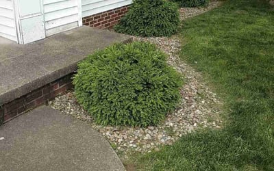 Photo of Paul M.'s yard after getting landscaping in Stow, OH