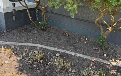 Photo of John D.'s yard after getting landscaping in Oak Park, MI