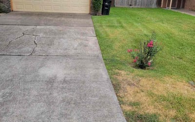Photo of James W.'s yard after getting landscaping in Hankamer, TX