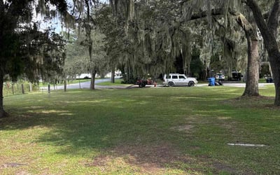 Photo of Carlos B.'s yard after getting tree care in Maitland, FL