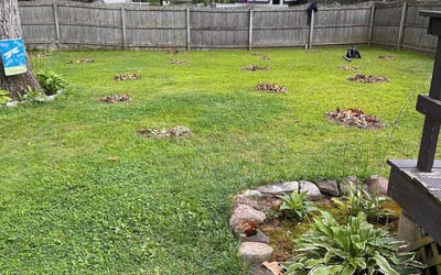 Photo of Robert S.'s yard after getting landscaping in Killingworth, CT