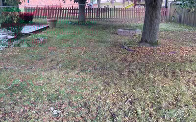 Photo of Ryan F.'s yard after getting landscaping in Walled Lake, MI