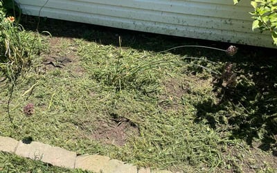 Photo of Kelly T.'s yard after getting landscaping in Mound City, KS