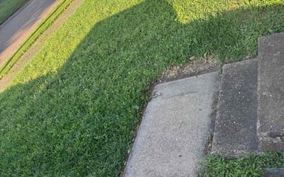 Photo of John H.'s yard after getting landscaping in Deer Park, TX