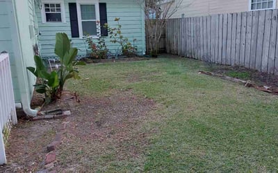 Photo of Jill C.'s yard after getting landscaping in Howey In The Hills, FL