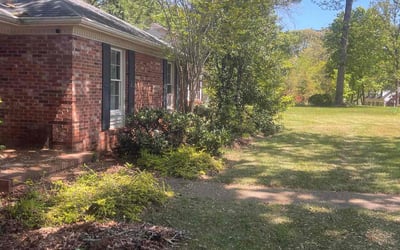 Photo of Tom S.'s yard after getting landscaping in Spartanburg, SC
