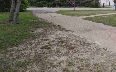 Photo of Daniel C.'s yard after getting landscaping in Santa Rosa Beach, FL