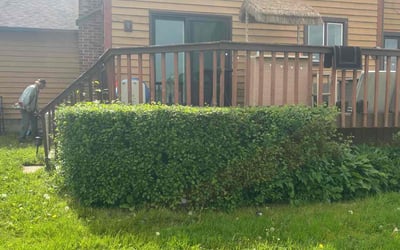 Photo of Michael F.'s yard after getting landscaping in Liverpool, NY