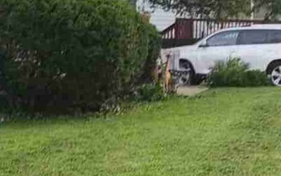 Photo of Trey M.'s yard after getting tree care in Kansas City, MO