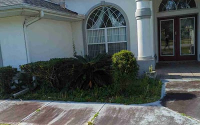 Photo of Katherine T.'s yard after getting tree care in Port Orange, FL