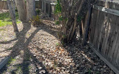 Photo of George C.'s yard after getting landscaping in Parker, CO