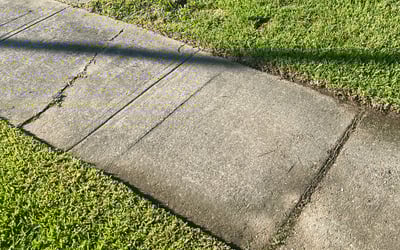 Photo of Wendy G.'s yard after getting landscaping in Clinton, LA
