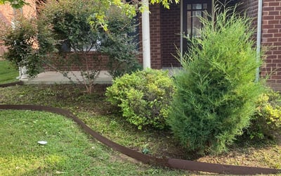 Photo of Michelle M.'s yard after getting landscaping in Centerville, TN