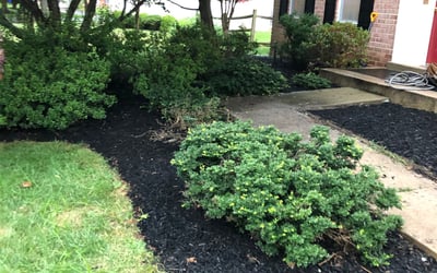 Photo of Dawn E.'s yard after getting landscaping in Sabillasville, MD