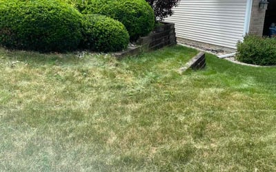 Photo of Chris R.'s yard after getting landscaping in Des Moines, IA