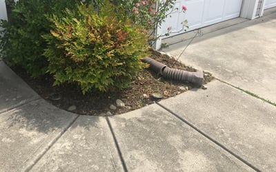 Photo of Jennifer M.'s yard after getting landscaping in Micro, NC