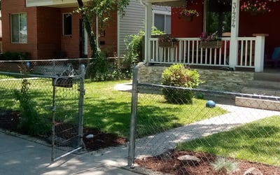 Photo of Cynthia K.'s yard after getting landscaping in Lake George, CO