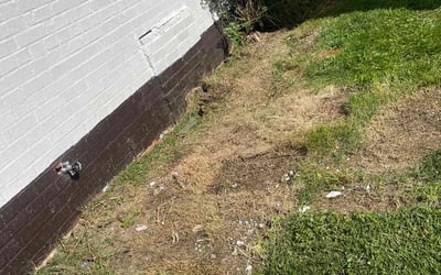 Photo of Larry S.'s yard after getting landscaping in Oxon Hill, MD