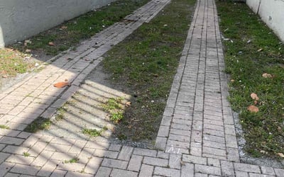 Photo of Mark M.'s yard after getting landscaping in Pahokee, FL