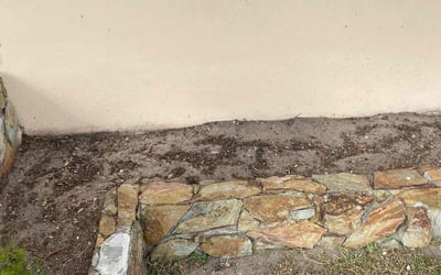 Photo of Ariel H.'s yard after getting tree care in Fort Lauderdale, FL