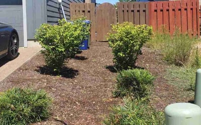 Photo of Sean B.'s yard after getting landscaping in Aurora, OR