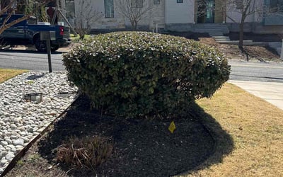Photo of Paige W.'s yard after getting landscaping in Martindale, TX